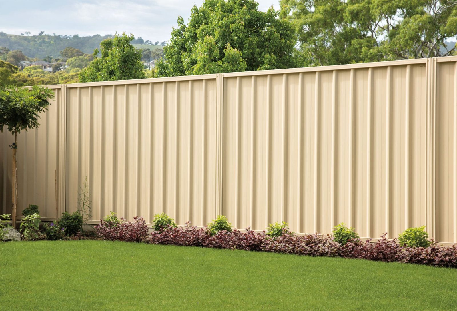 Fencing in Noarlunga